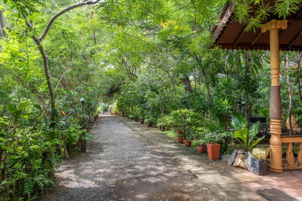 Nature Lanka Ayurveda Resort - All Meals And Ayurveda Treatments With Yoga Tangalle Esterno foto