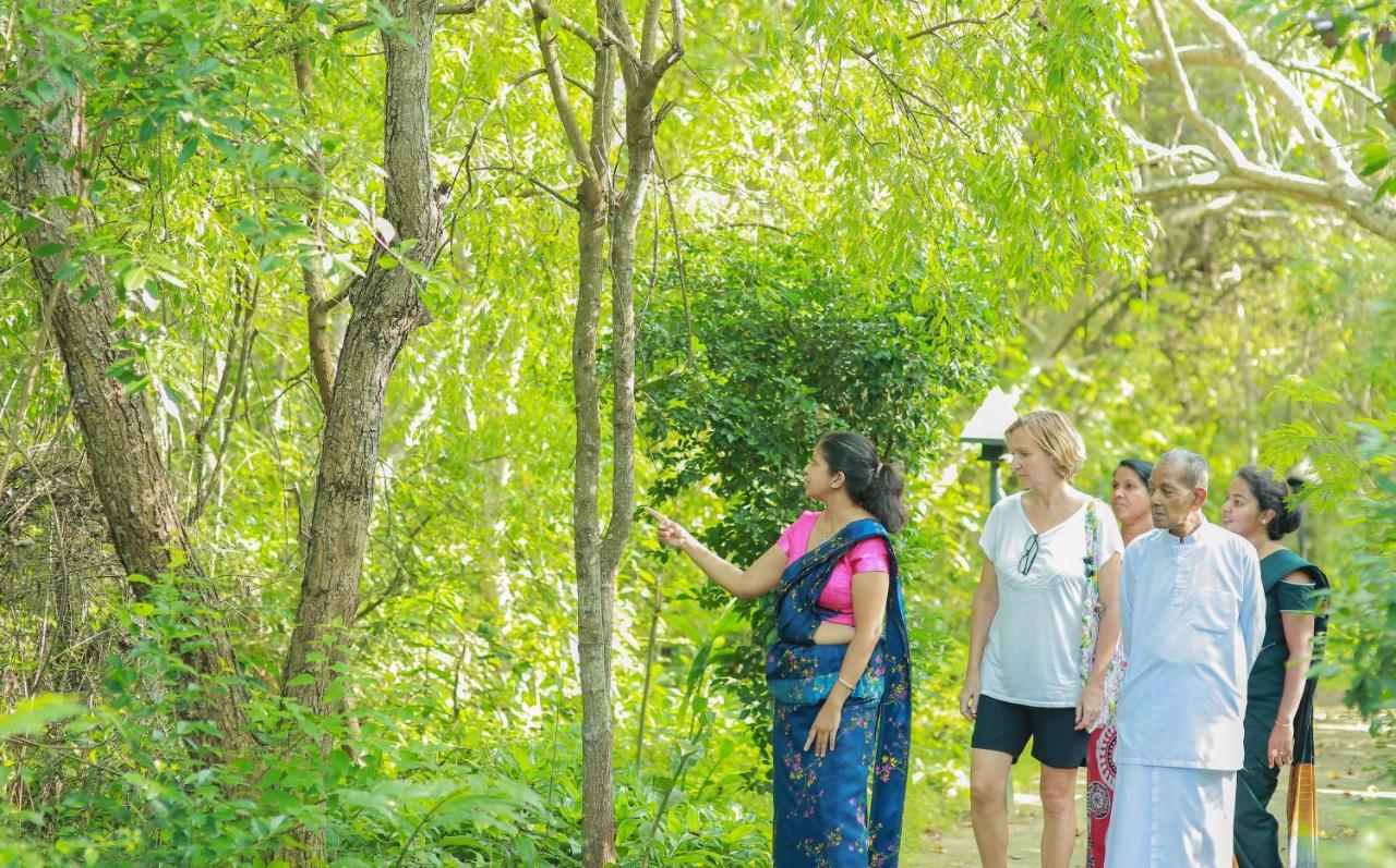 Nature Lanka Ayurveda Resort - All Meals And Ayurveda Treatments With Yoga Tangalle Esterno foto