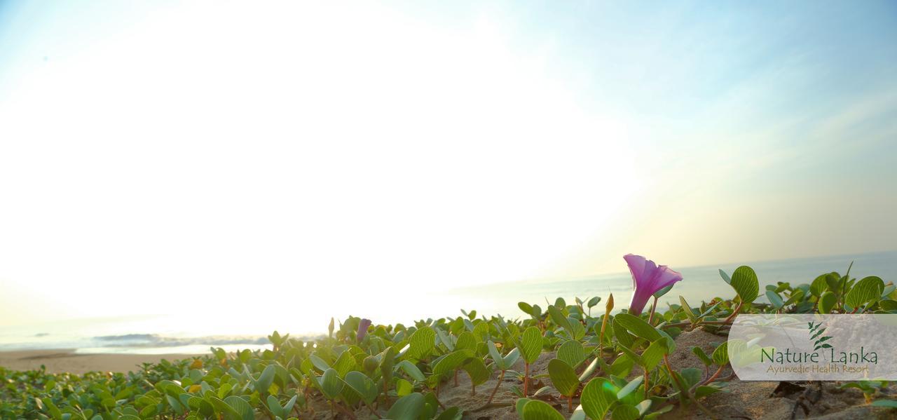 Nature Lanka Ayurveda Resort - All Meals And Ayurveda Treatments With Yoga Tangalle Esterno foto