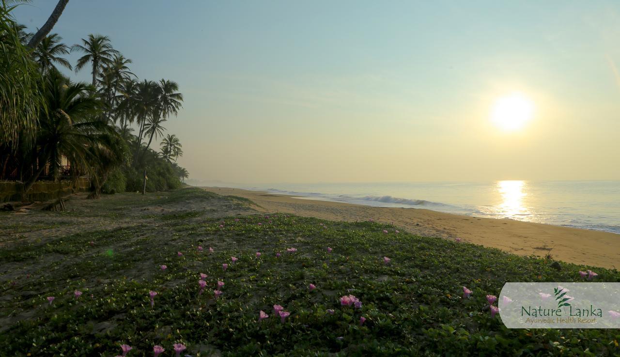 Nature Lanka Ayurveda Resort - All Meals And Ayurveda Treatments With Yoga Tangalle Esterno foto