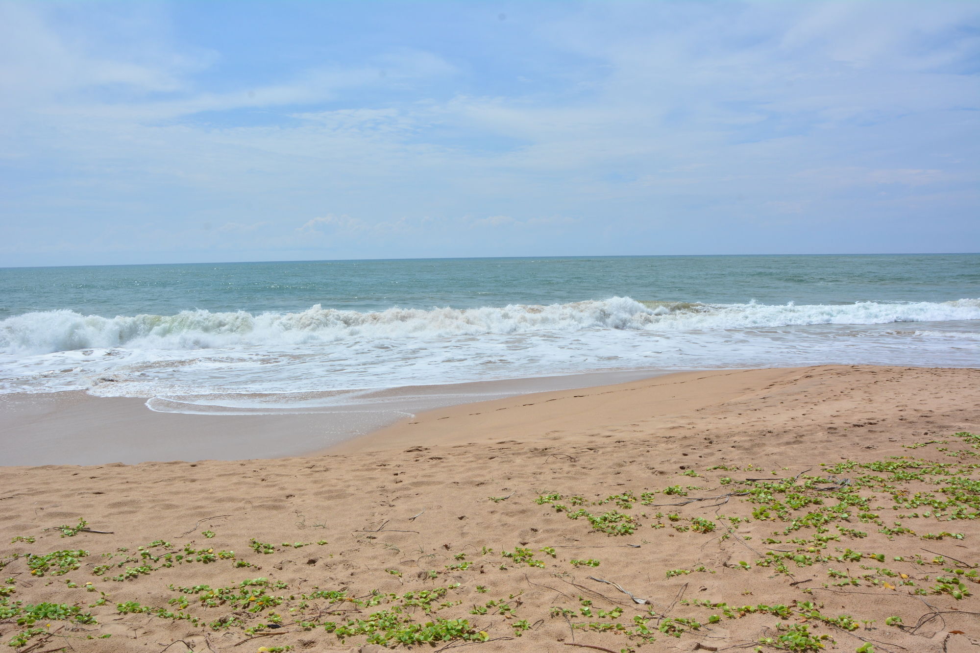 Nature Lanka Ayurveda Resort - All Meals And Ayurveda Treatments With Yoga Tangalle Esterno foto